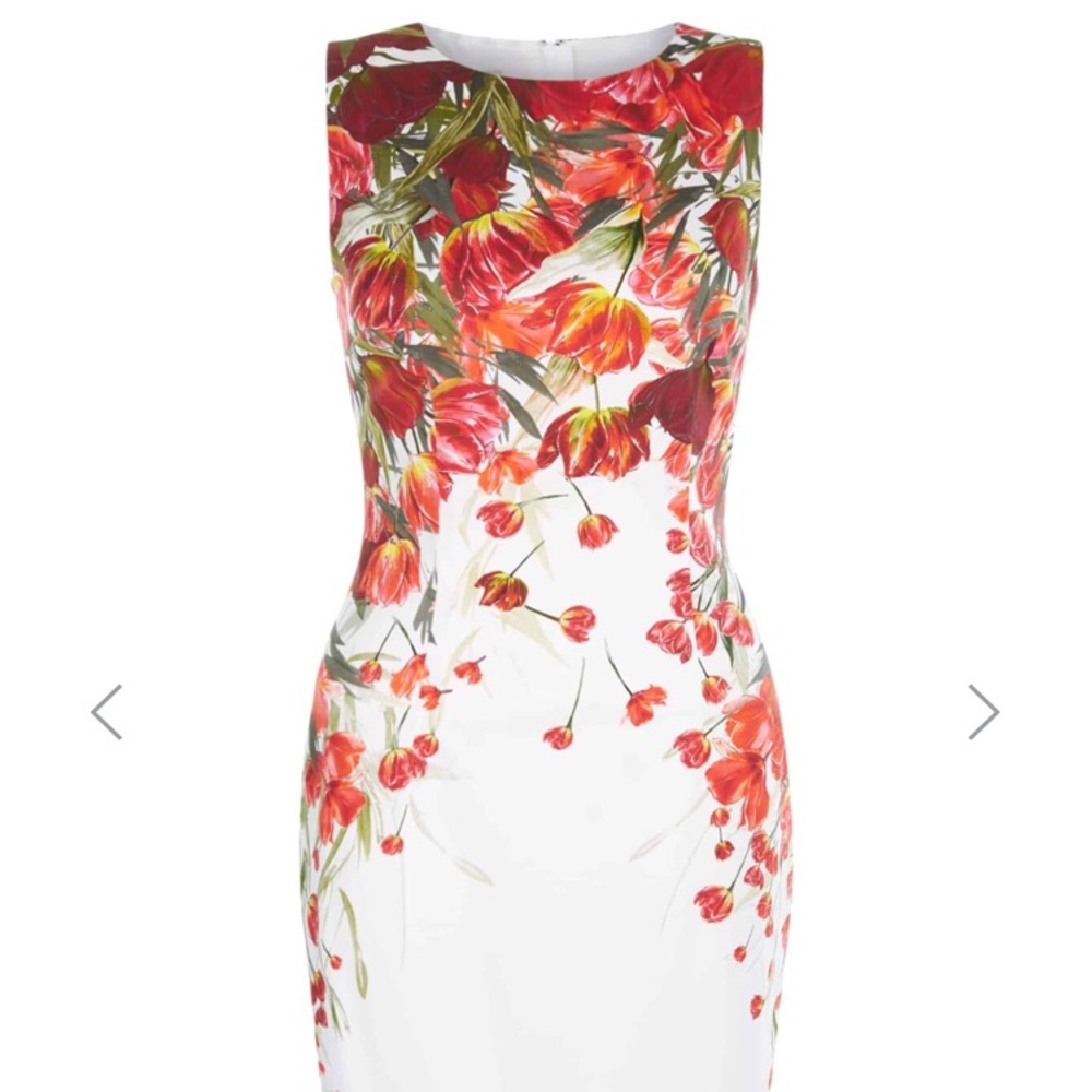 Brand new Hobbs Dress